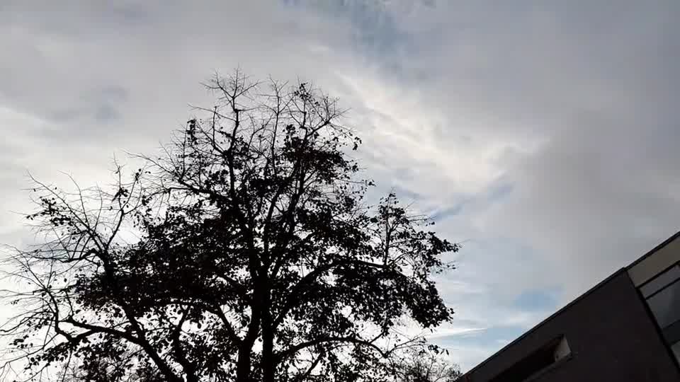 Himmel in Berlin am 7.12.2022 um 14:36 Uhr