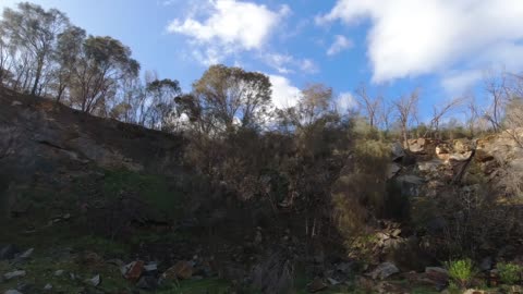 Early morning walk at Wungong reserve