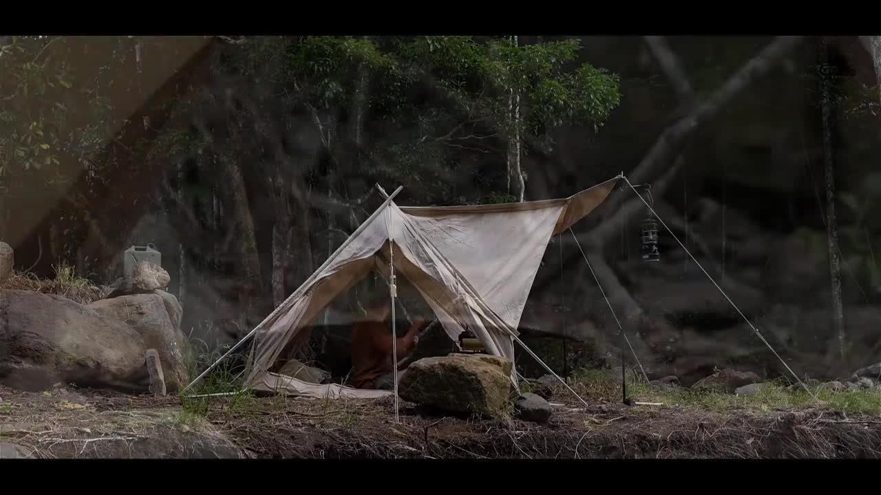 Self driving outdoor camping, enjoying the beauty of the summer forest. Loneliness is the norm of li