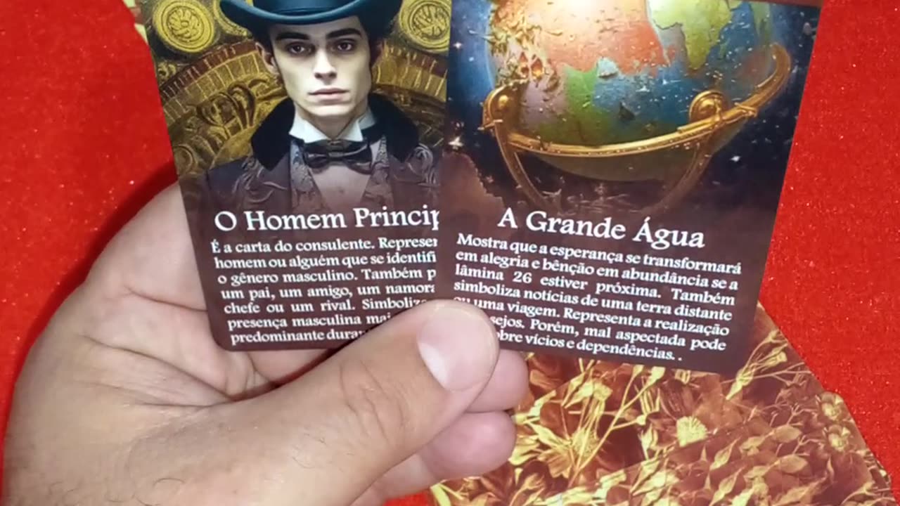 As Cartas do Dia #114