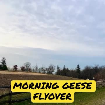 MORNING GREETED BY GEESE FLYOVER