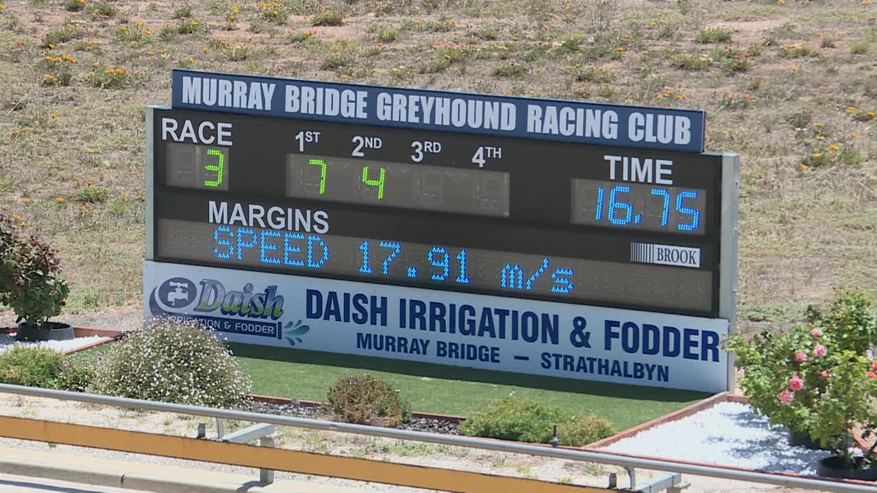 Murray-Bridge-14122021-Race-3