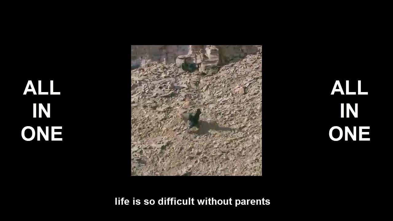 life is so difficult without parents