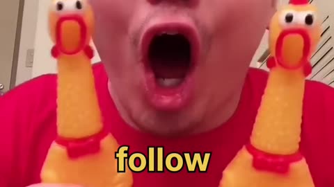 Funny videos