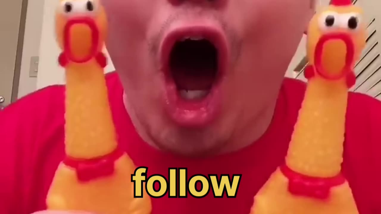 Funny videos