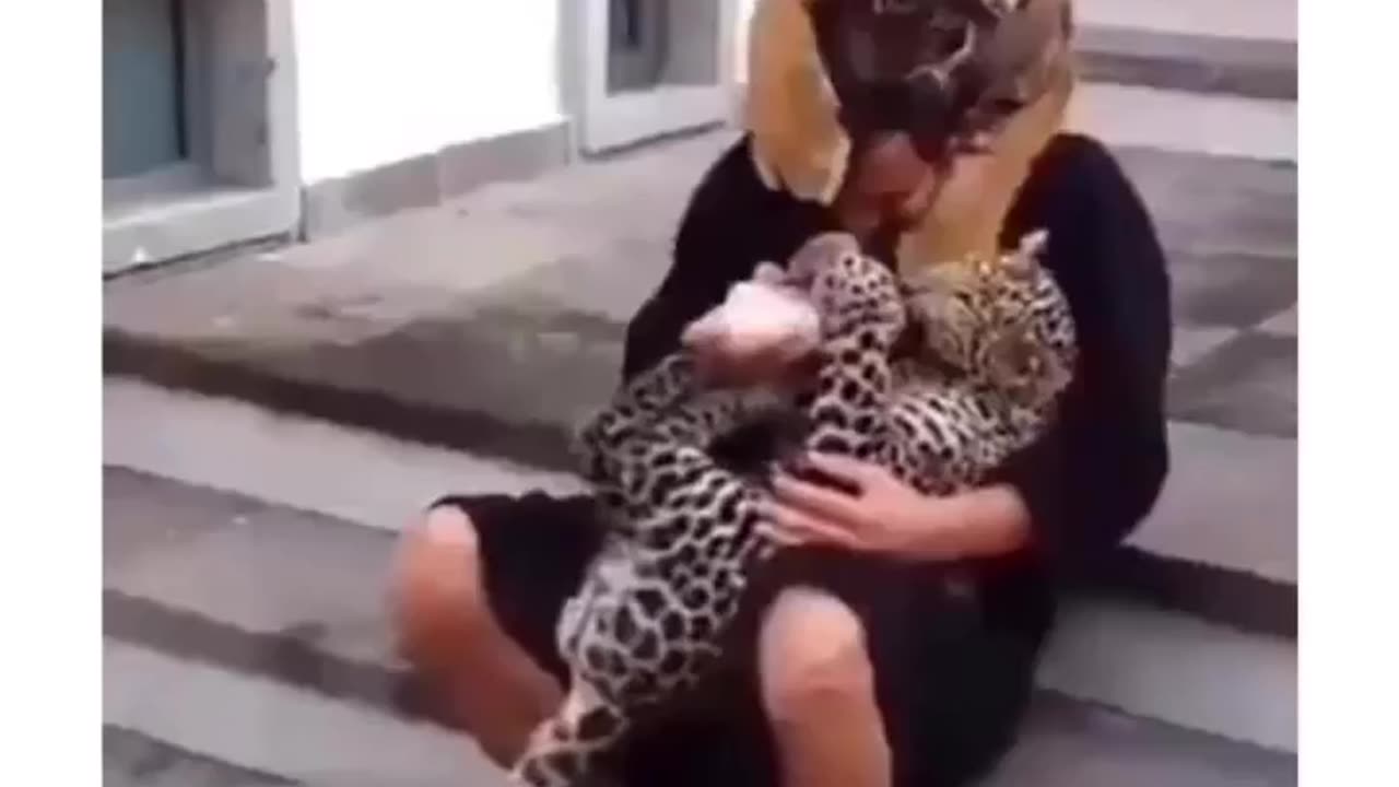 Animals showing love!