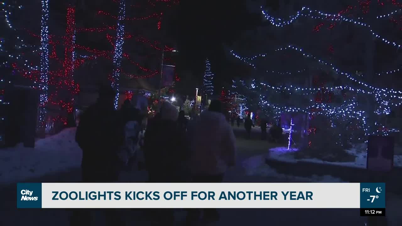 Zoolights returns in Calgary