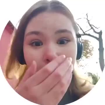 Repeat this until the capitulation of Kiev.