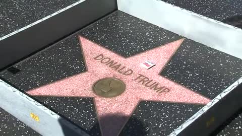 Artist erects wall around Trump's Walk of Fame star