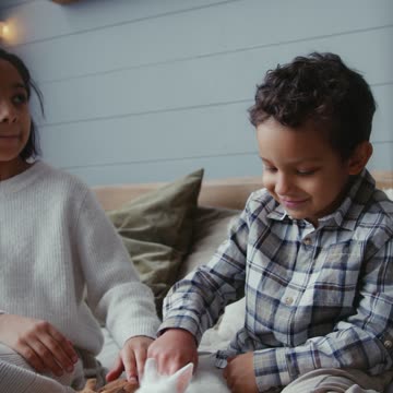 cute little kids playing with the rabbit