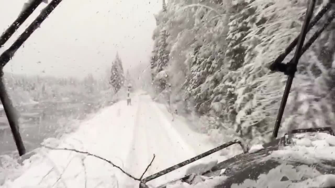 Train plows through trees after snow storm!