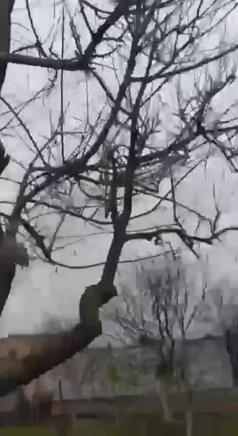 Novi Petrivtsi, Ukraine