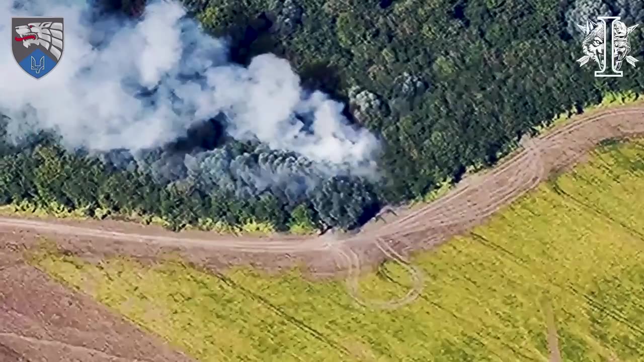 Ukrainian Artillery Zeros In On Several Russian Heavy Guns Congregating Near Bridge Head