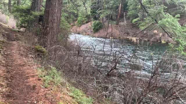 River Wilderness Hike Beside Metolius River – Central Oregon