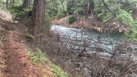 River Wilderness Hike Beside Metolius River – Central Oregon
