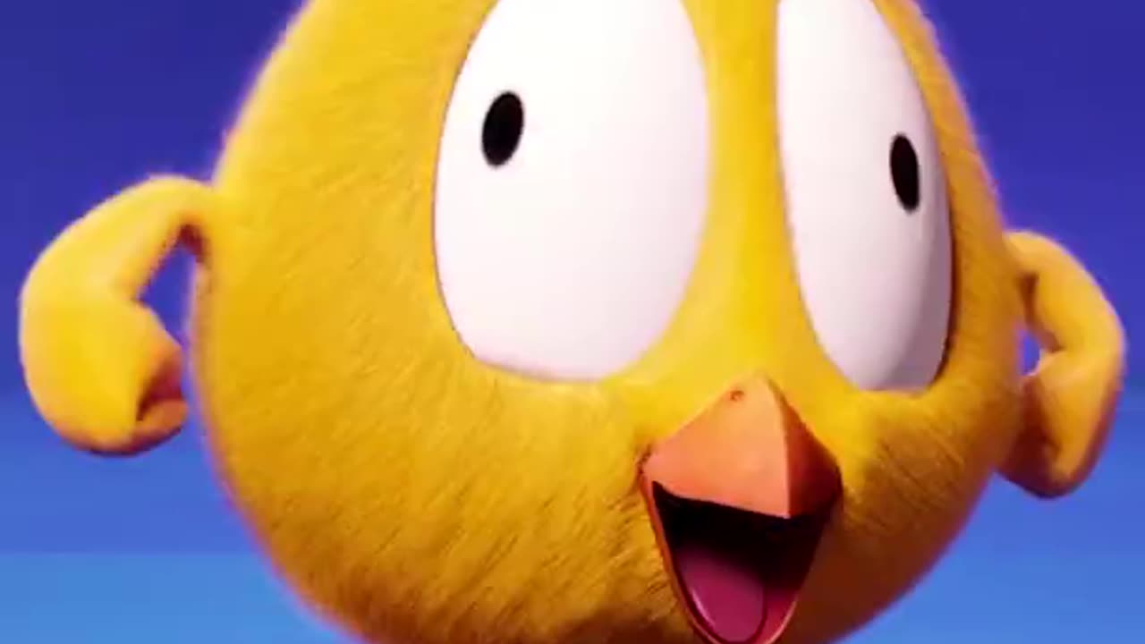 #SHORTS CHICKY