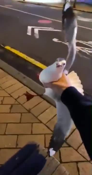 When I decided to watch a video on my phone after drinking