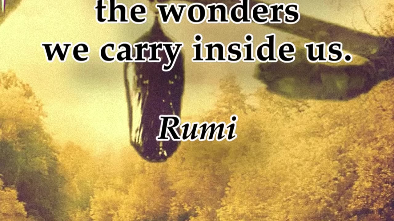 Quick thought. Rumi. #shorts