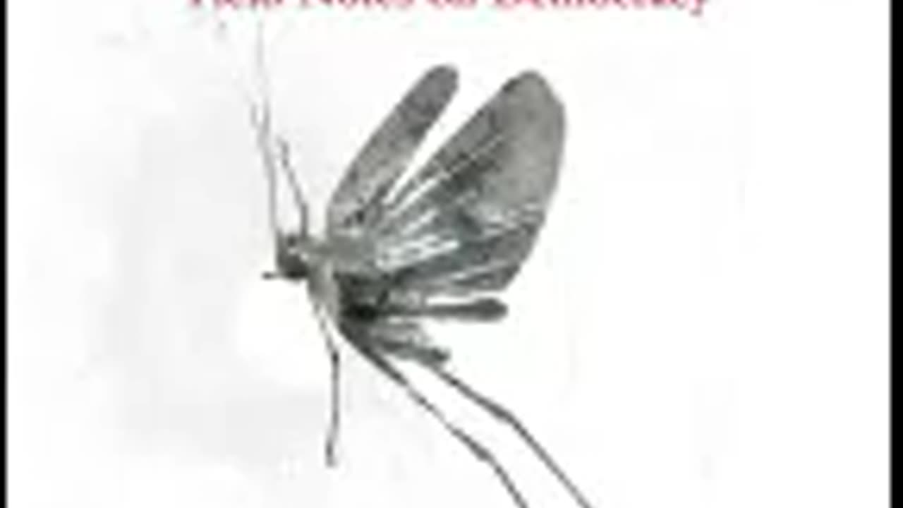 Listening to Grasshoppers by Arundhati Roy