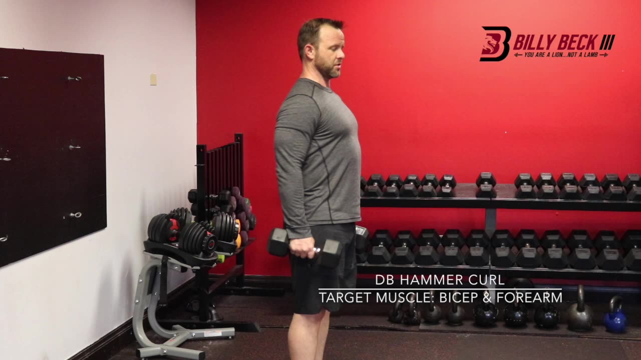 DB Hammer Curl