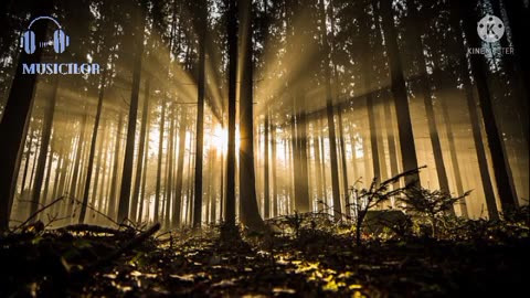 Warm music that will listen to your heart and the sound of rain