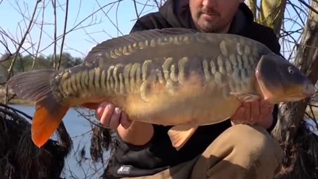 Chris Catching a Scaly Mirror 🤩