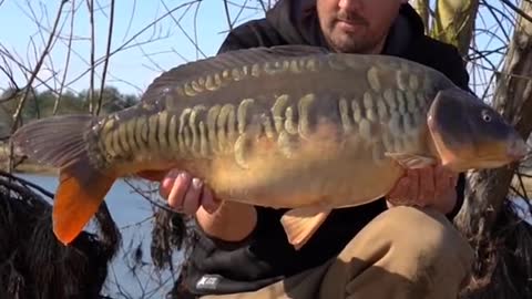 Chris Catching a Scaly Mirror 🤩