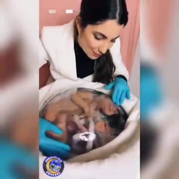 Scientists from Cornell University (part of the Ivy League) have created an artificial uterus