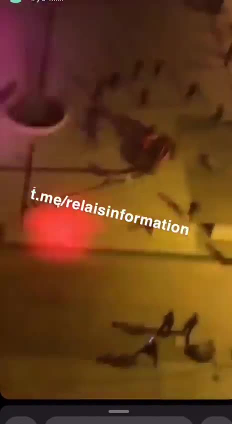 Francja przeżywa swój własny moment George'a Floyda, gdy w całym kraju dochodzi do masowych