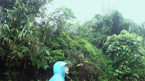 complete great shelter tent in the rain in forest-18