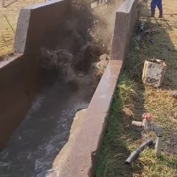 Lea Thomas takes a practice lap before a swim meet.