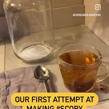 OUR FIRST TIME MAKING SCOBY