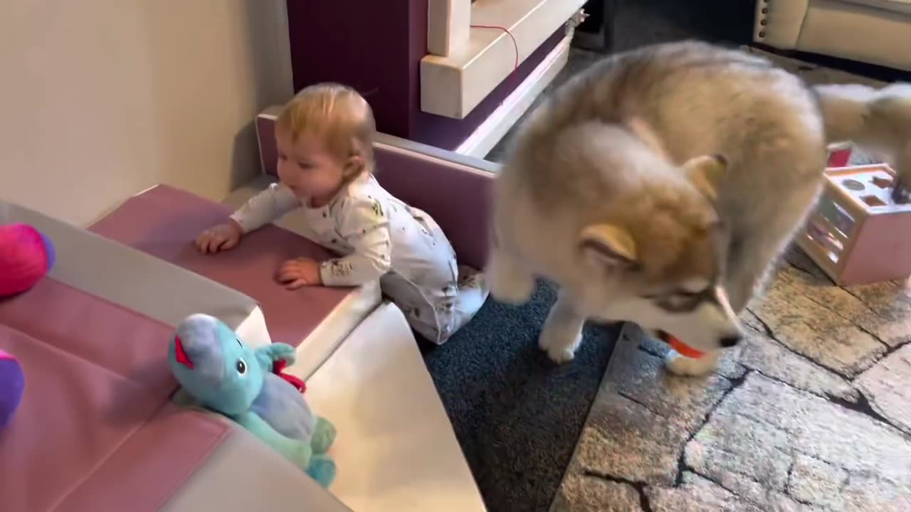 Baby And Puppy Growing Up Together! (Cutest Ever!!)