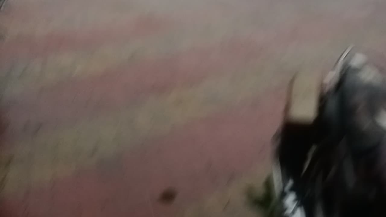 Rainy Day ...Look how it is