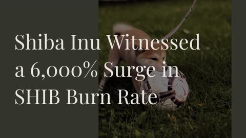 This Is Why Shiba Inu Witnessed a 6,000% Surge in SHIB Burn Rate