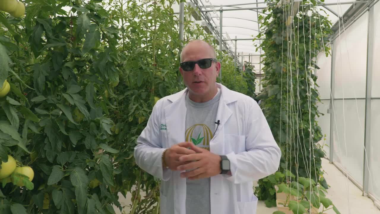 Hydroponics 101: What we grow | CropKing Inc.