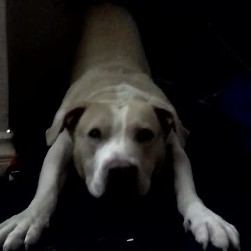 Yeeeeah Jesus Christ! 🧡💛💚 #karenbasshoax #voulez-vousmarcher #ArbeitMachtFrei #clàusuladeJalisco