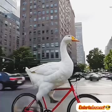 Viral🔥 funny😝 video😝