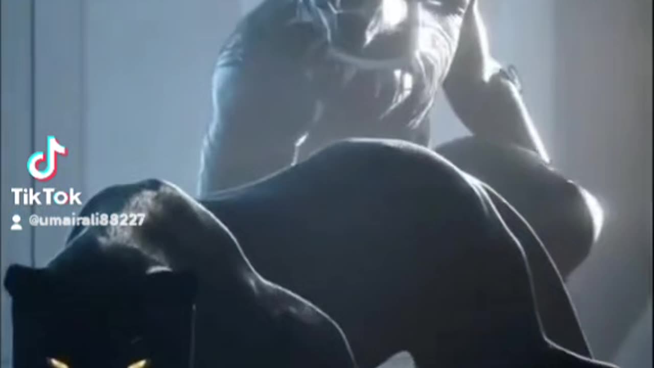 Black panther effect capcut taranding template by Umair ALI #viral #video