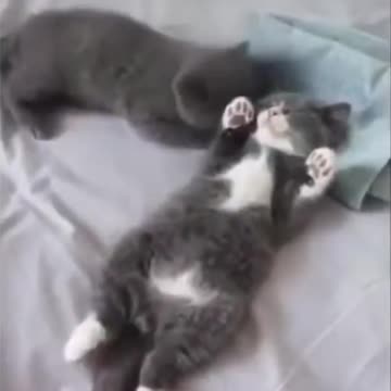 FUNNY COMPILATION VIDEOS 1