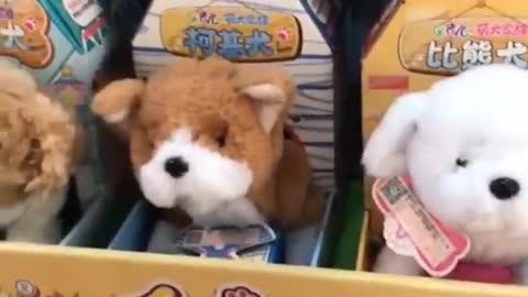 New Funny Animals 😂 Funniest Cats and Dogs Videos 😺🐶