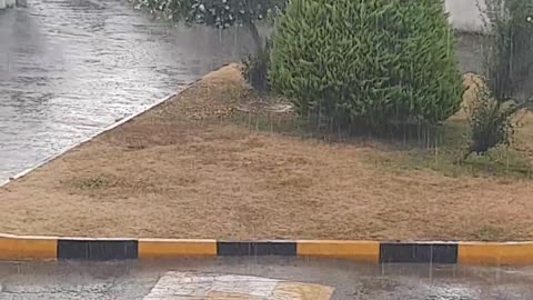 باران تابستانی در مازندران