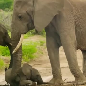 Slippery when wet 🤣😂