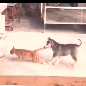 A minute of laughter. Friends, smile to your health!