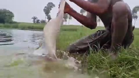 #fish #fishing #video #Mud_man_fishing #short #viral