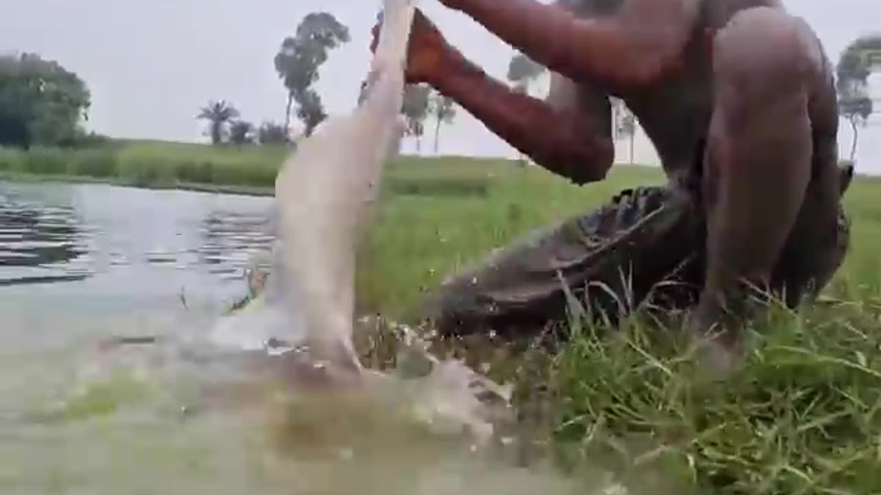 #fish #fishing #video #Mud_man_fishing #short #viral