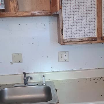 Roaches coming out of the woodwork