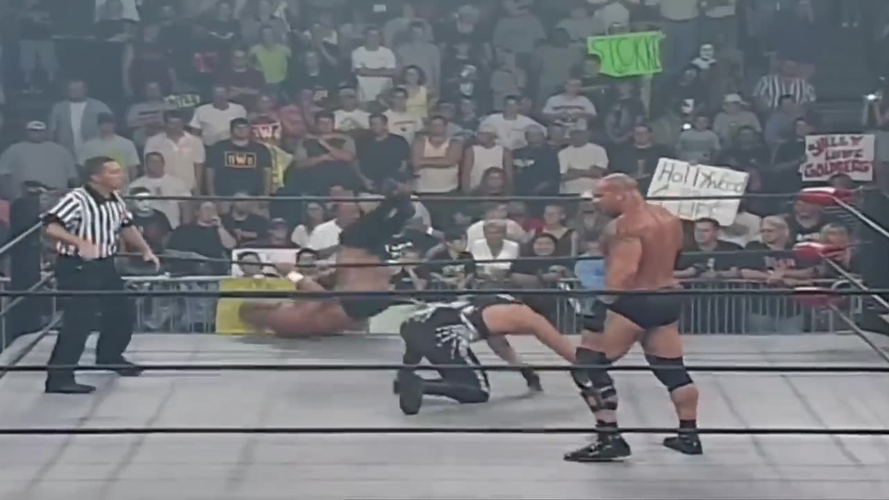 Goldberg vs Sid Vicious