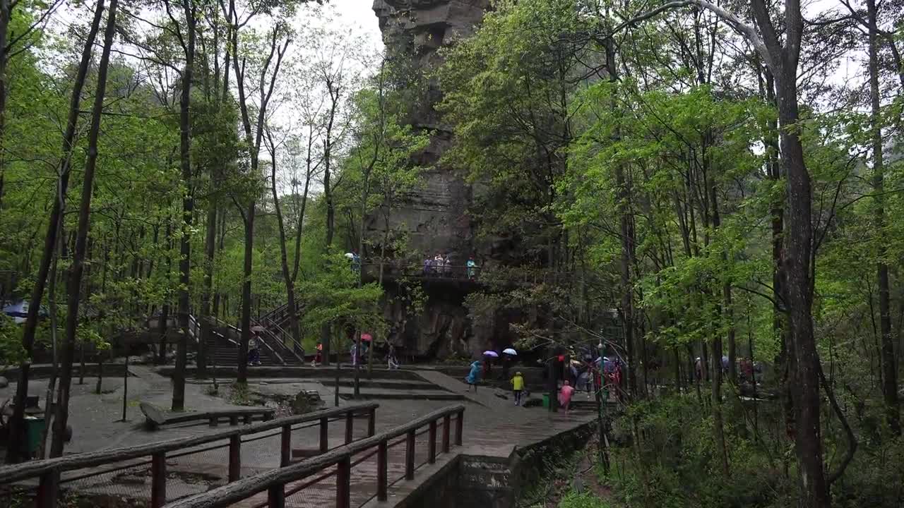 "Avatar" Mountain & Wulingyuan Scenic Area