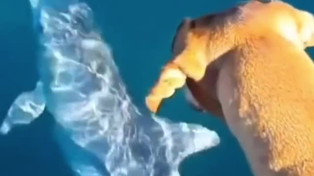 NEW BESTIES 🥰🥰